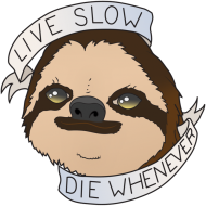 Live Slow Die Whenever #1 Bluza damska
