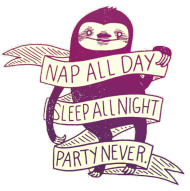Nap all day | koszulka męska