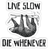 Live Slow Die Whenever #2 Koszulka damska