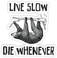 Live Slow Die Whenever #2 Bluza damska