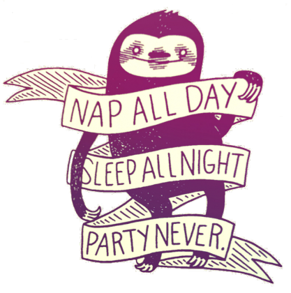 Nap all day | koszulka męska