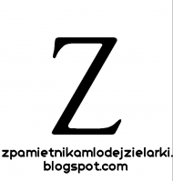 Koszulka "Z"