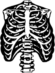 Koszulka szkielet