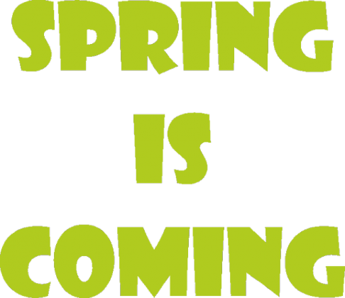 Bluza męska - Spring Is Coming - NWK