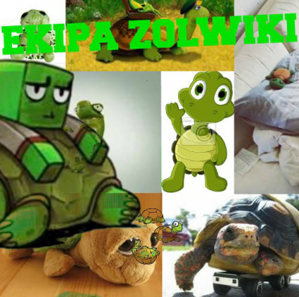 #EKIPA #ŻÓŁWIKI #PACANKI