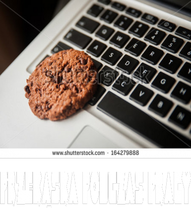 Ciekawa koszulka z memami