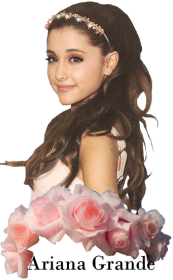 Ariana torba