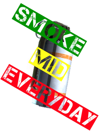 (HGW)Counter-Strike: Global Offensive: Smoke Mid Everyday