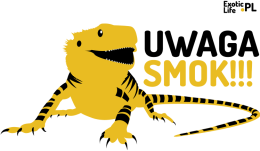 Smok