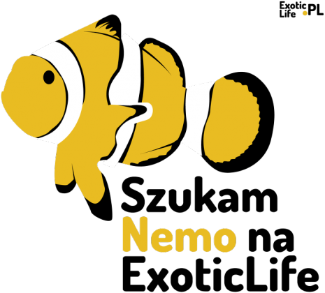 Nemo