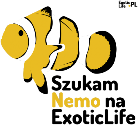 Nemo
