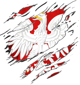 bluza wl