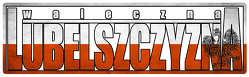 koszulka wl