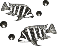 Kubek Ryby (wzór1)