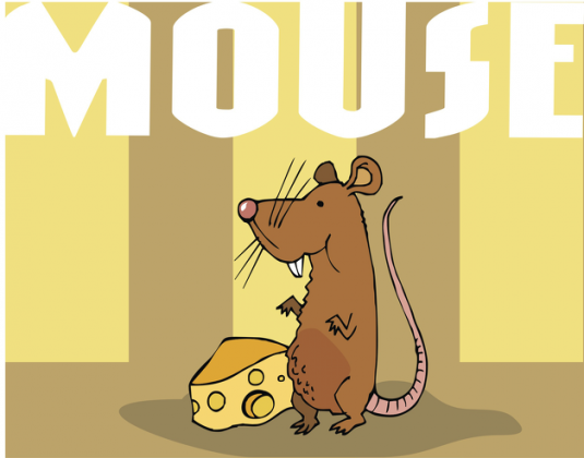 Mouse