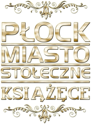 Bluza męska bez kaptura - Płock miasto stołeczne książęce | złoty styl