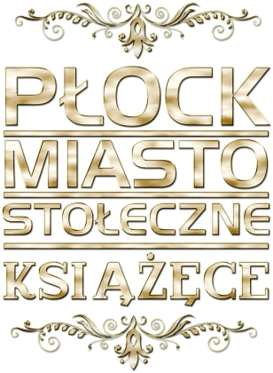Bluza męska z kapturem - Płock miasto stołeczne książęce | złoty styl