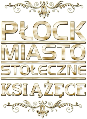 Bluza damska - Płock miasto stołeczne książęce | złoty styl