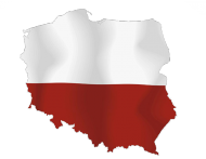 Polska Bluza Męska