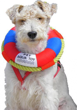 Body dziecięce "pies"