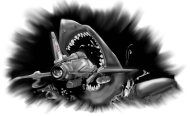 Shark Koszulka