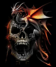 Koszulka Dragon Skull