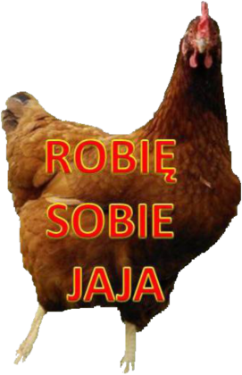 Koszulka "Robię sobie jaja"