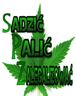 Sadzić Palić Zalegalizować
