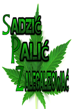 Sadzić Palić Zalegalizować