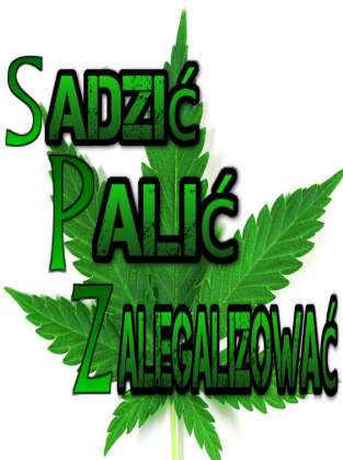 Sadzić Palić Zalegalizować