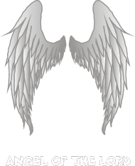 Anielskie skrzydła