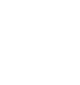 Rudy idzie