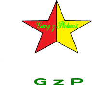 Koszulka Chłopięca "Gwiazda Gangu"