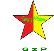 Koszulka Dziewczęca "Gwiazda Gangu"