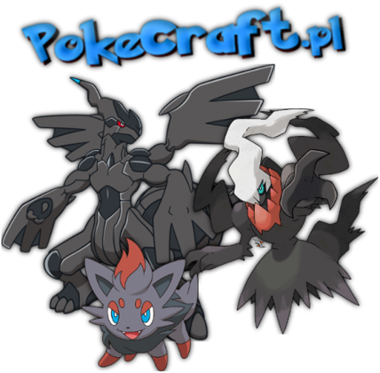 Koszulka z napisem - Dziewczęca