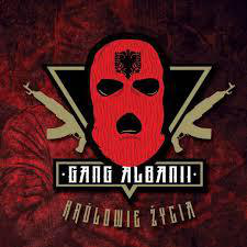 Kubek gang Albani