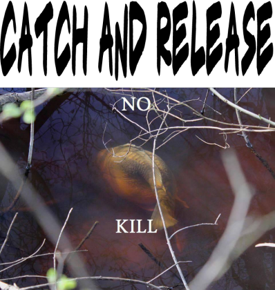Koszulka 2 no kill