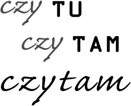 koszulka męska (różne kolory): CZY TU CZY TAM CZYTAM