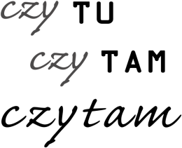 bluza męska (różne kolory): CZY TU CZY TAM CZYTAM