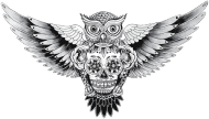 BasiaTheDog - T-Shirt damski "Owl and Skull"