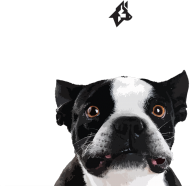 BasiaTheDog - Eko torba "French Bulldog"