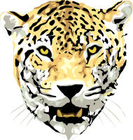 Blouse jaguar