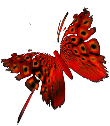 T-shirt butterfly