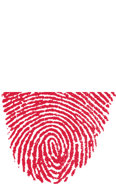 Koszulka damska (odcisk palca - polskie barwy)
