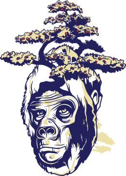 design_01