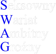 Bluza męska