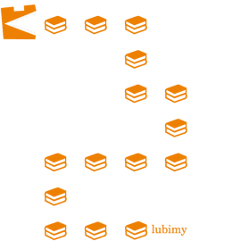 Koszulka męska Pożeracz książek