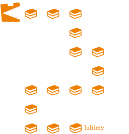 Koszulka damska Pożeracz książek