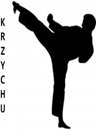 Koszulka Taekwondo, imię do wyboru