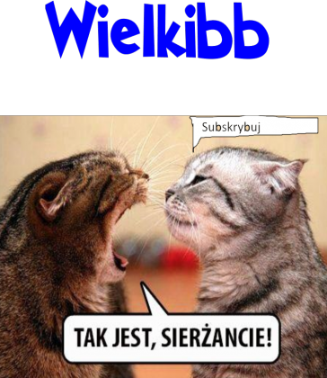 subskrybuj wielkibb
